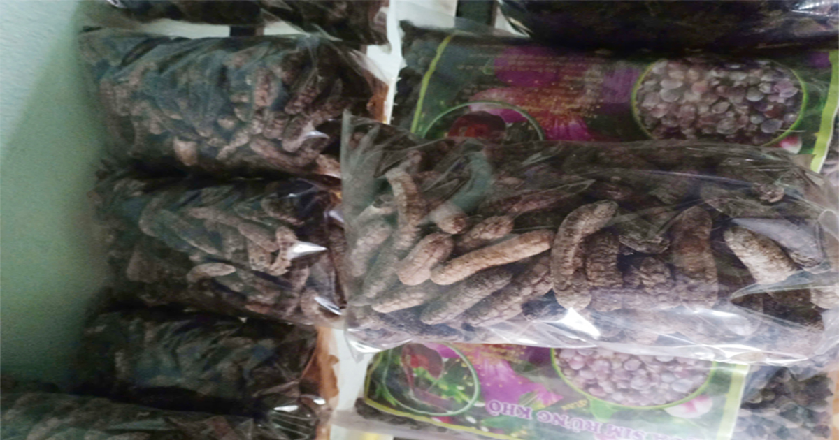 Chuối hột rừng Quảng Nam - tinh hoa núi rừng