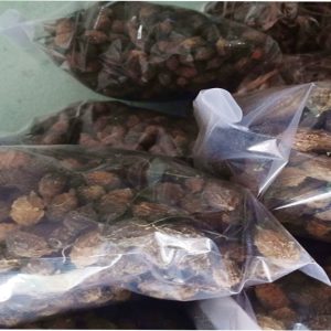 Khổ qua rừng khô